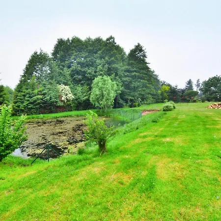 In Wi Cianowo Near Ostrowieckie Zegocino